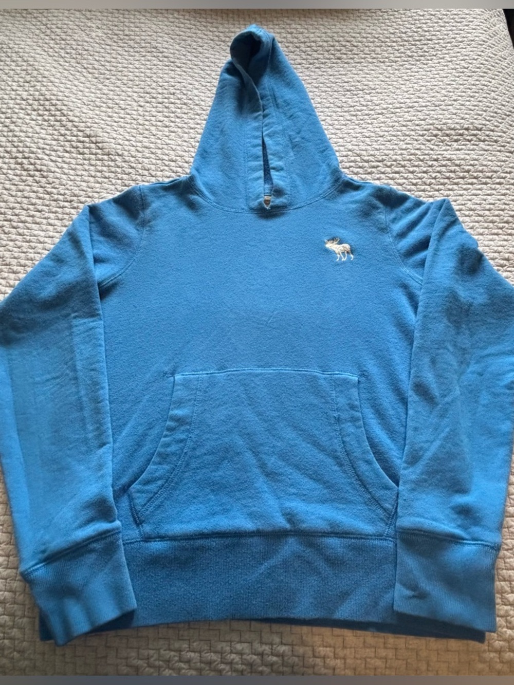 Vintage Y2K Abercrombie & Fitch Blue Hoodie Size Large